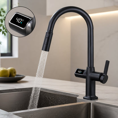 Digital Display Pull-Out Kitchen Faucet with 3 Spray Modes