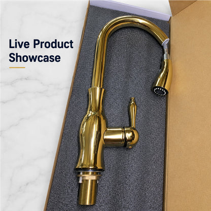 High-Arc Pull-Out Kitchen Faucet with Dual-Function Sprayer and 360° Swivel Spout